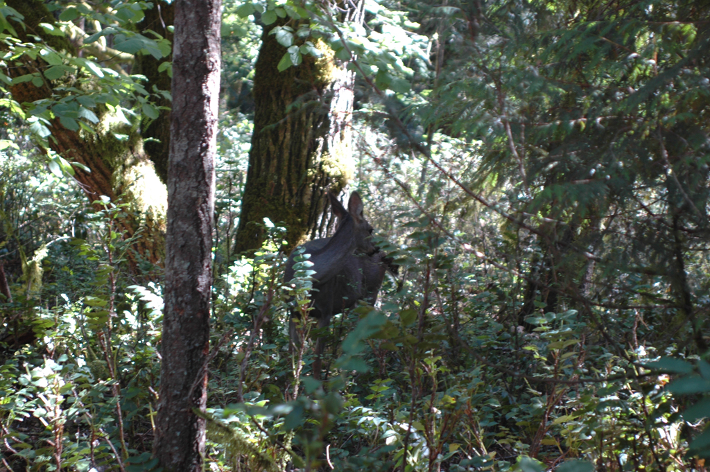 2007_0924_Oxbow 132