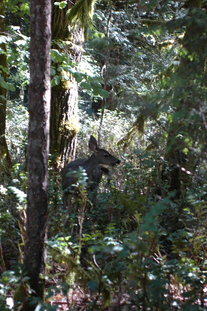 2007_0924_Oxbow 133