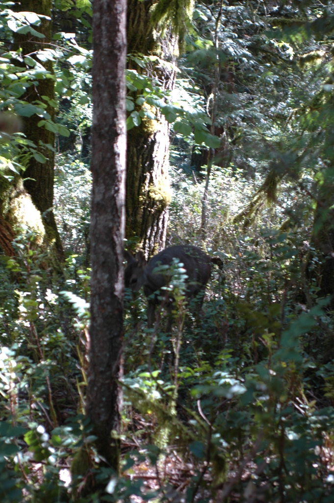 2007_0924_Oxbow 134