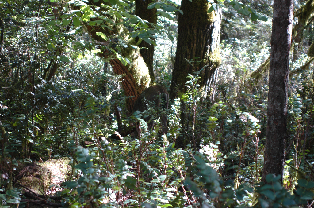 2007_0924_Oxbow 136