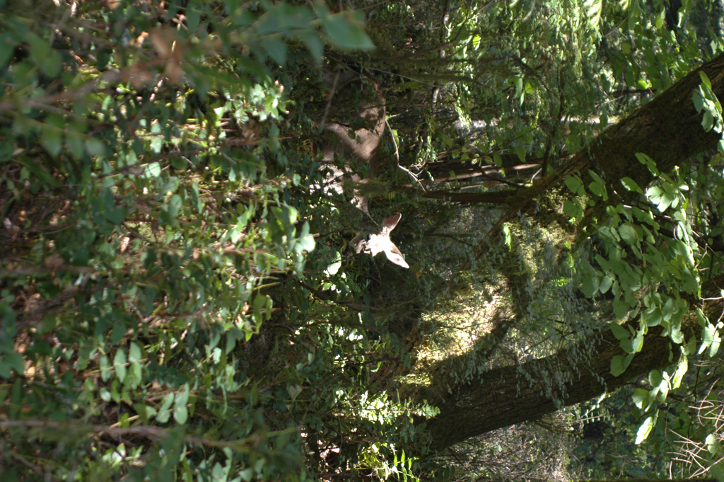 2007_0924_Oxbow 138