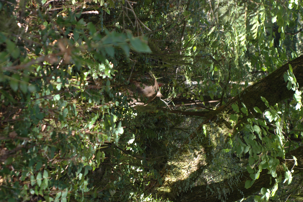 2007_0924_Oxbow 139