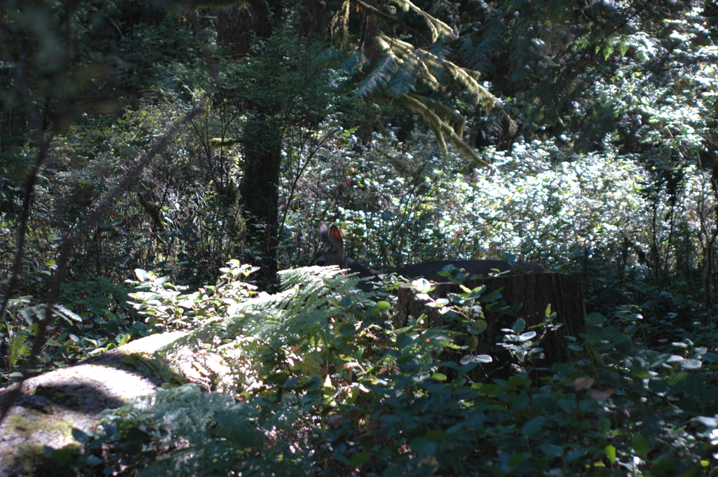 2007_0924_Oxbow 141