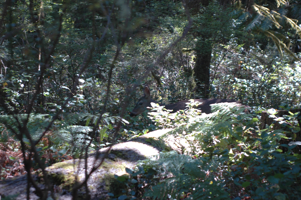 2007_0924_Oxbow 142