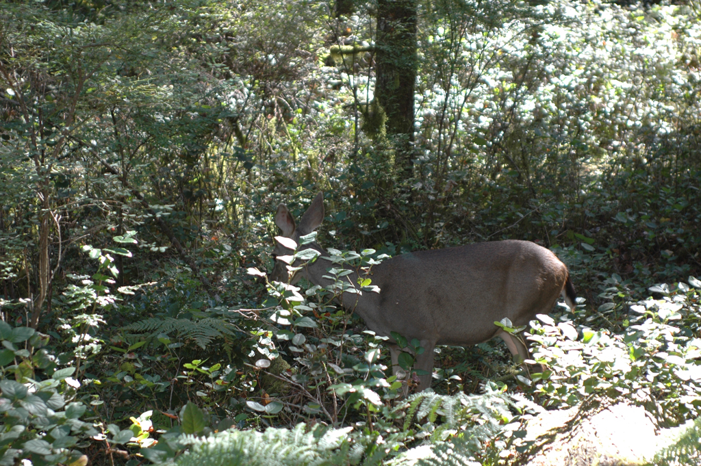 2007_0924_Oxbow 144