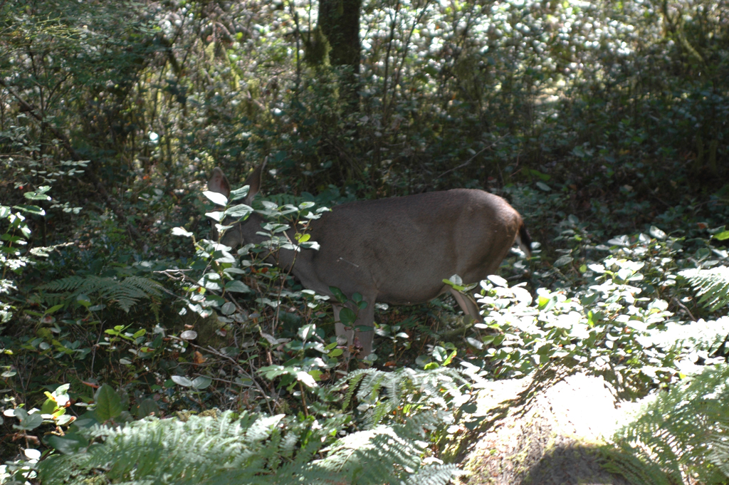 2007_0924_Oxbow 145