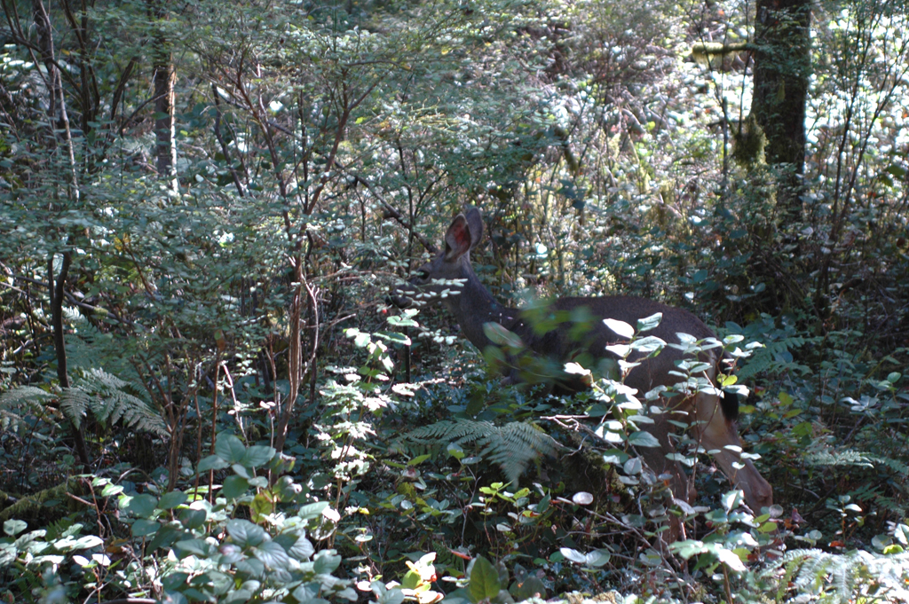 2007_0924_Oxbow 146