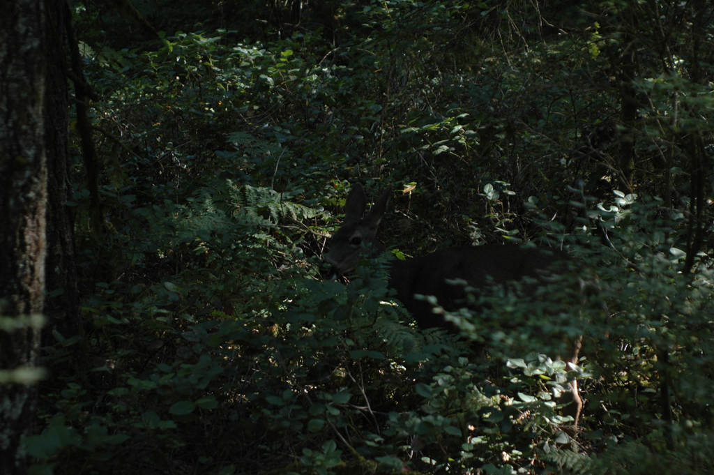 2007_0924_Oxbow 149
