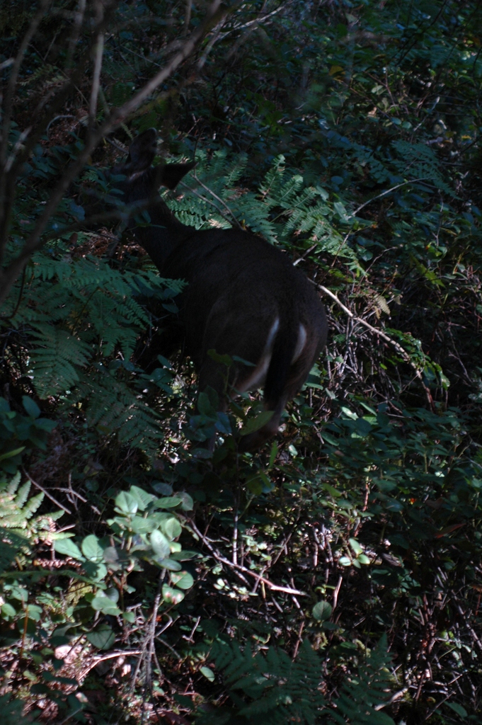 2007_0924_Oxbow 151