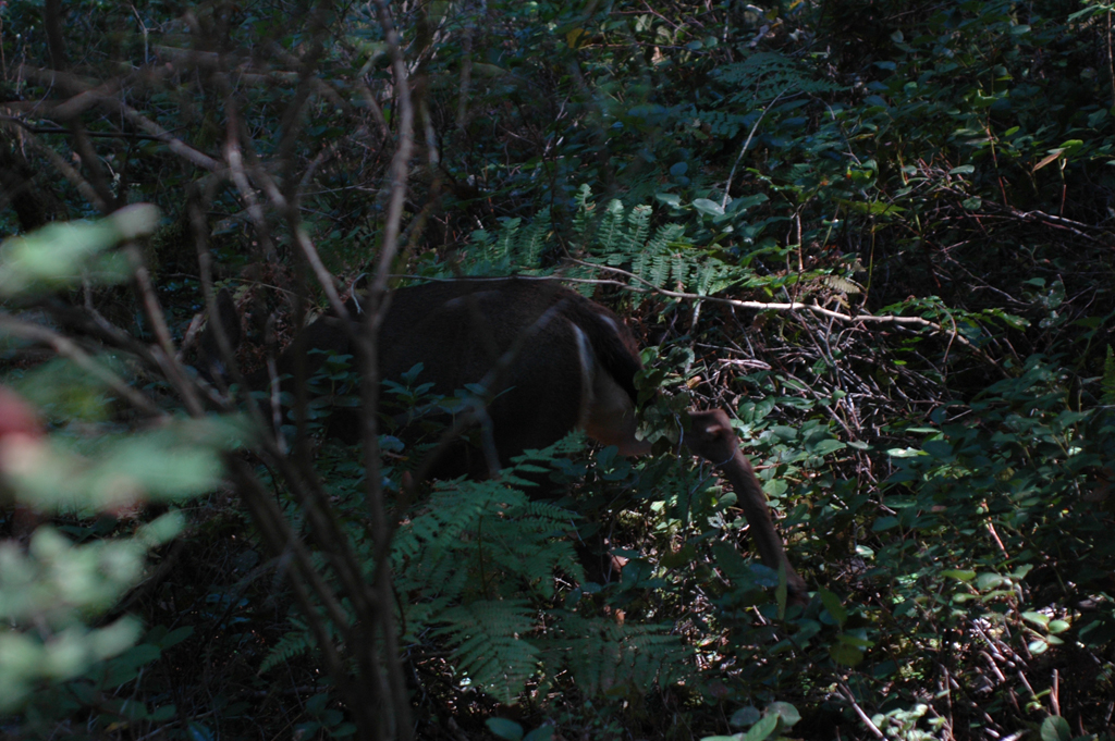 2007_0924_Oxbow 152