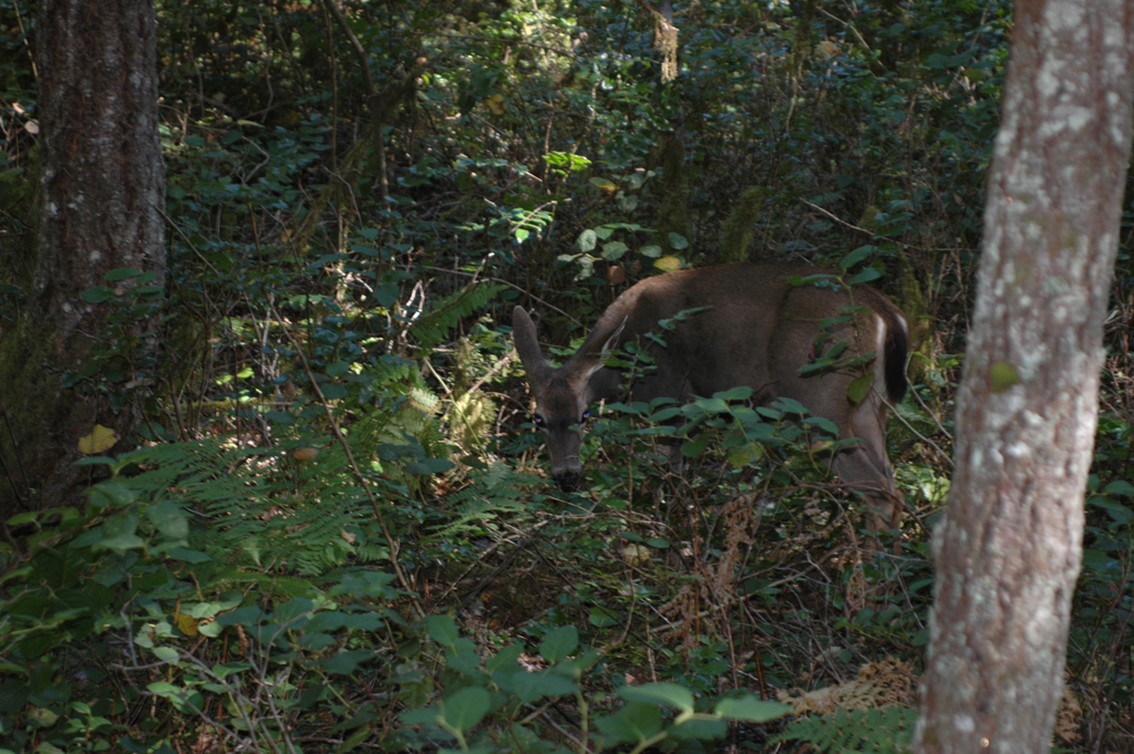 2007_0924_Oxbow 153