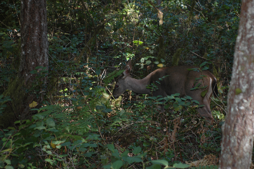 2007_0924_Oxbow 154