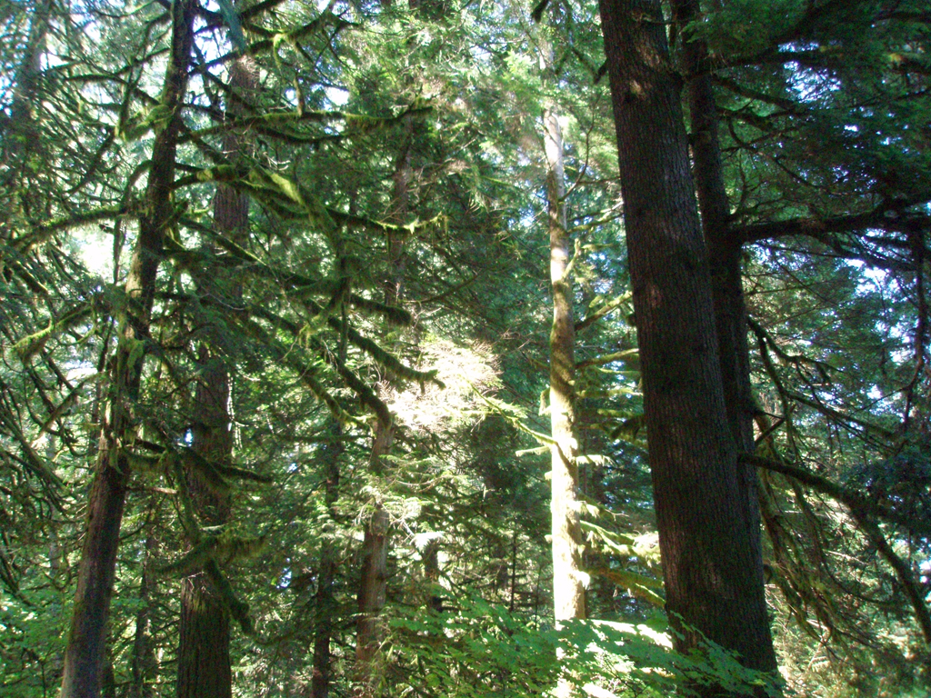 2007_09_25_oxbow 002