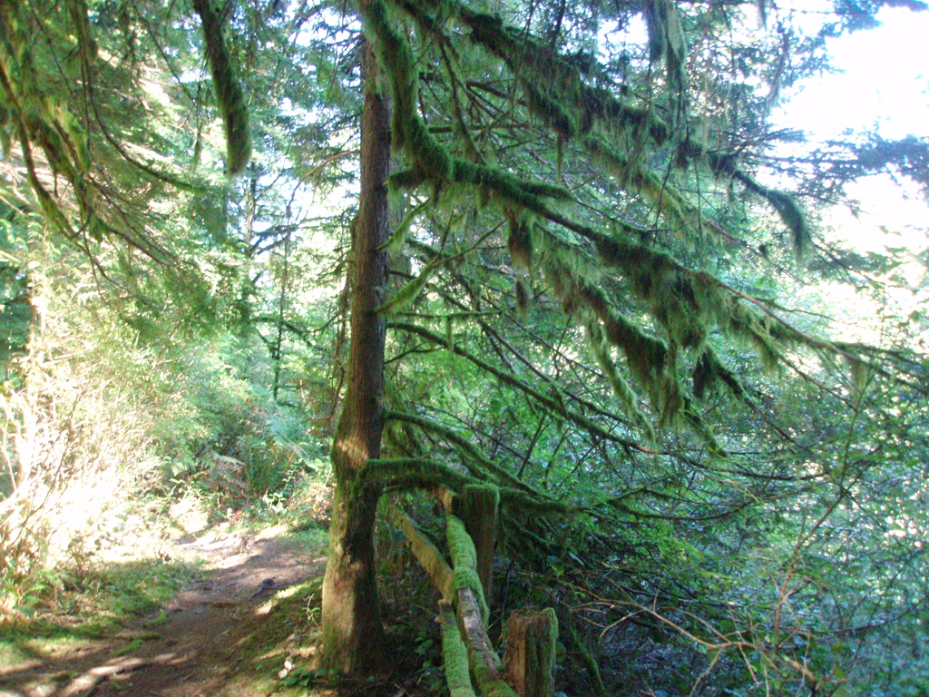 2007_09_25_oxbow 003