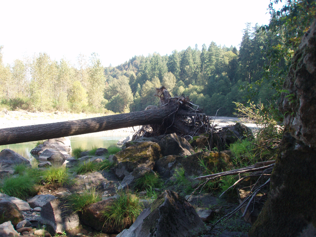 2007_09_25_oxbow 009