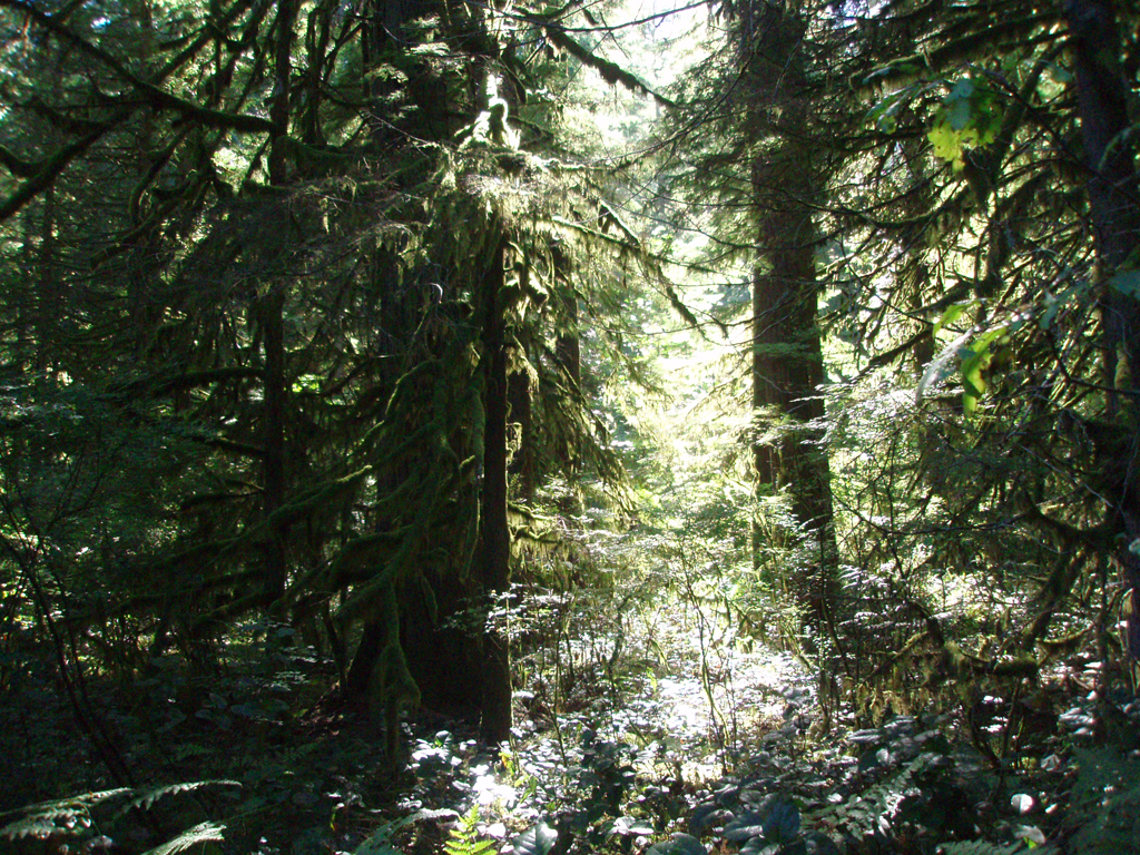 2007_09_25_oxbow 013