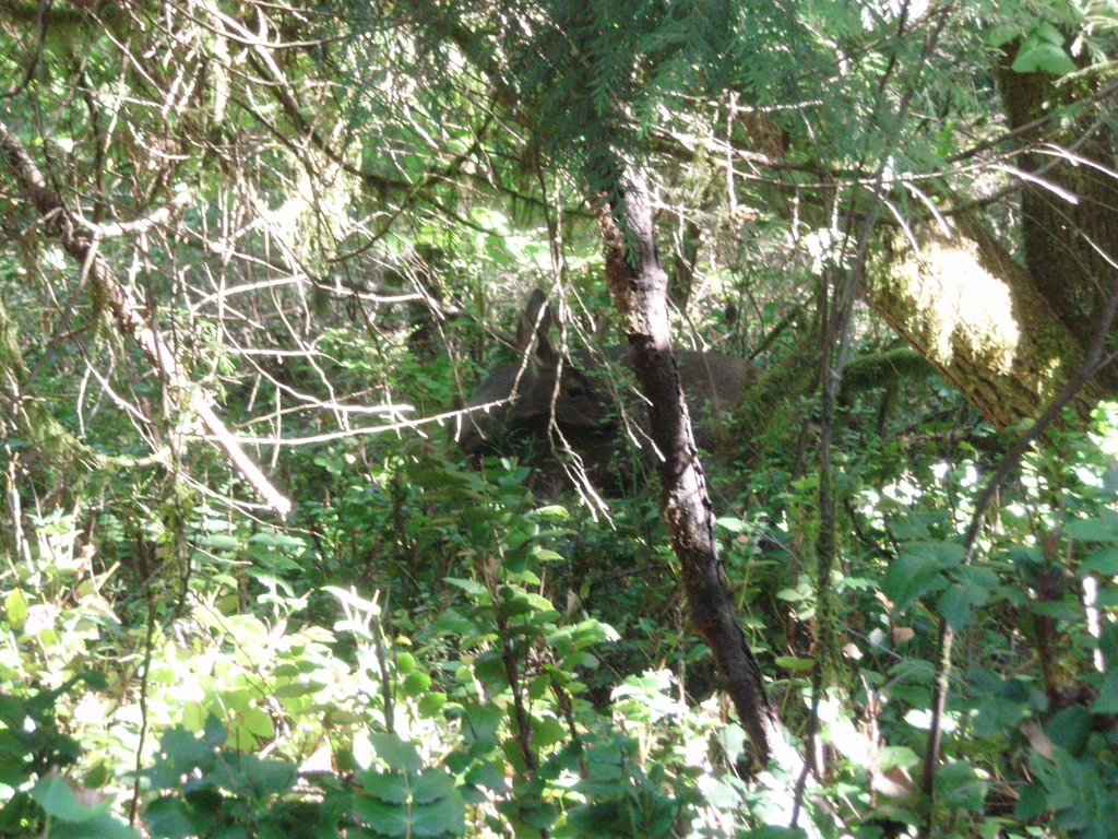 2007_09_25_oxbow 016