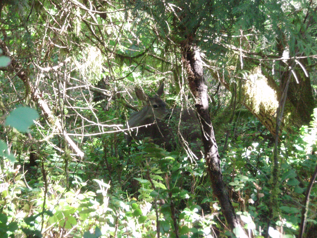 2007_09_25_oxbow 017