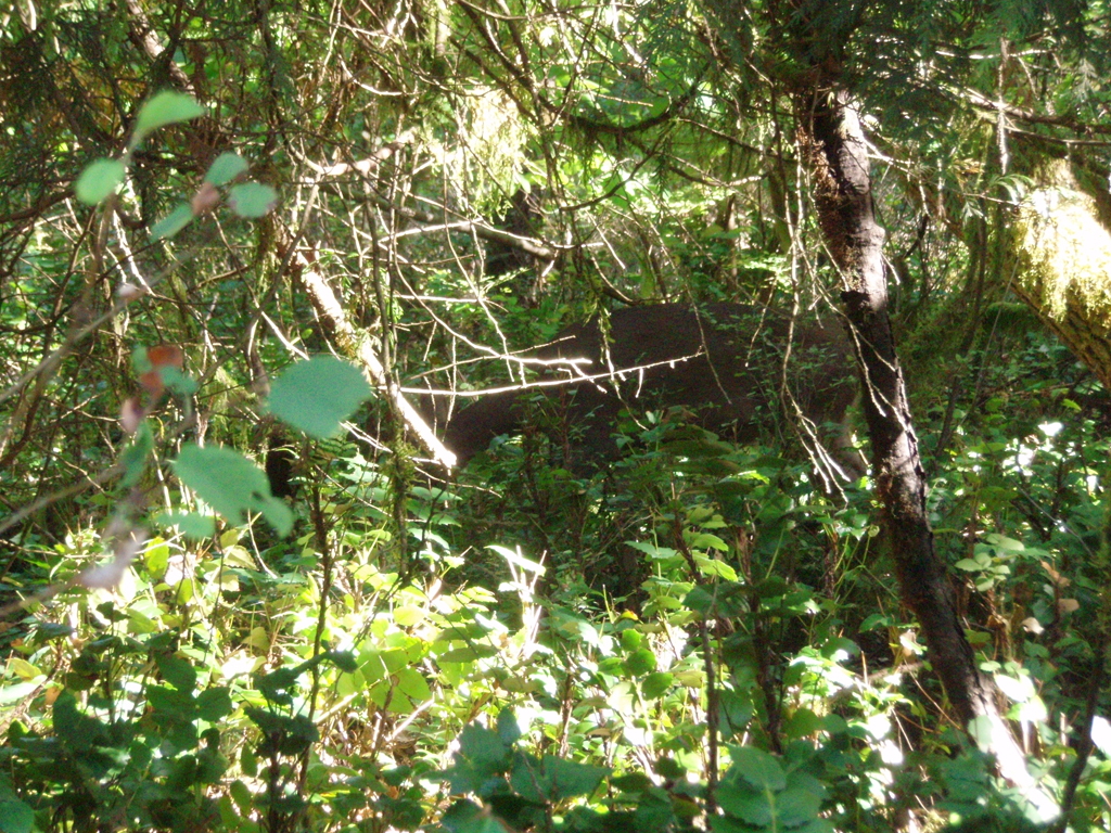 2007_09_25_oxbow 018
