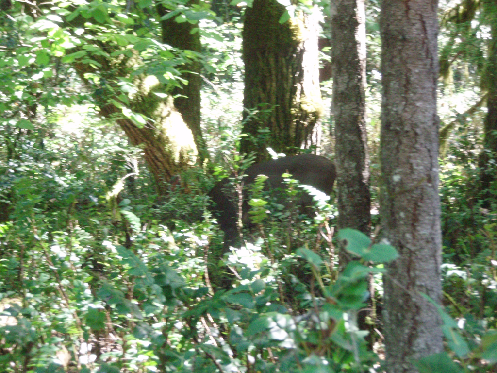 2007_09_25_oxbow 019
