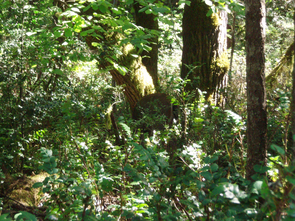 2007_09_25_oxbow 020