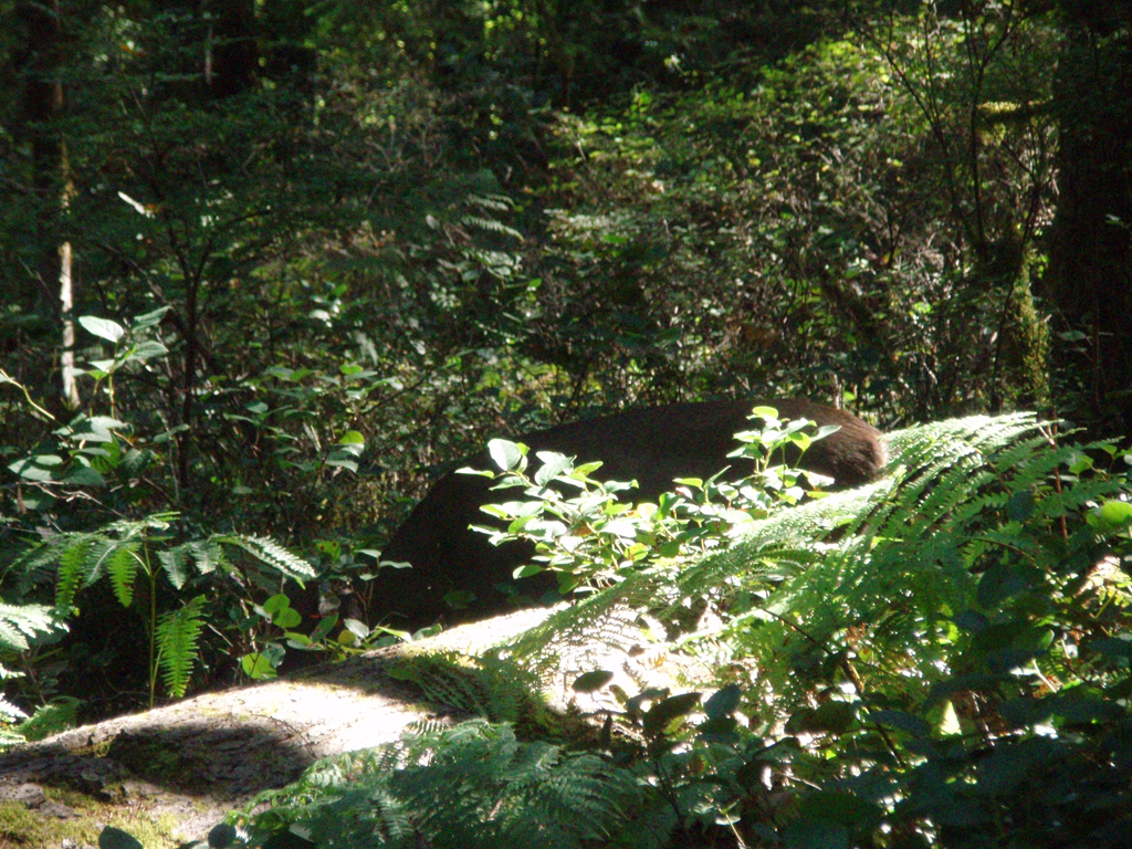 2007_09_25_oxbow 021