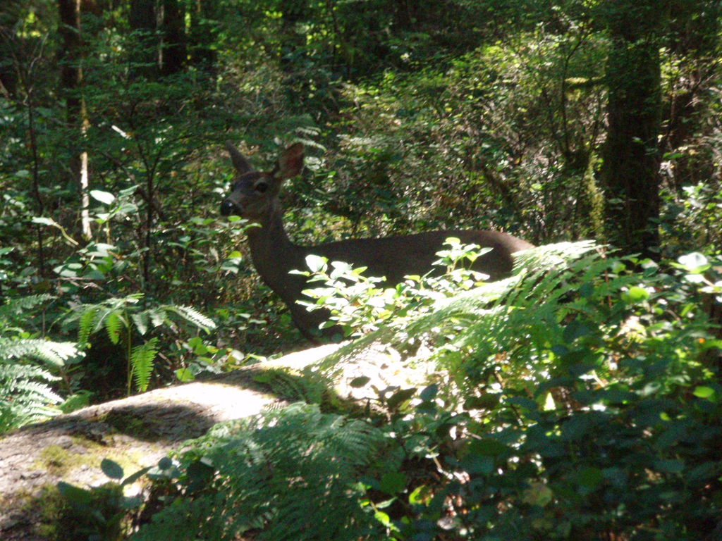 2007_09_25_oxbow 022