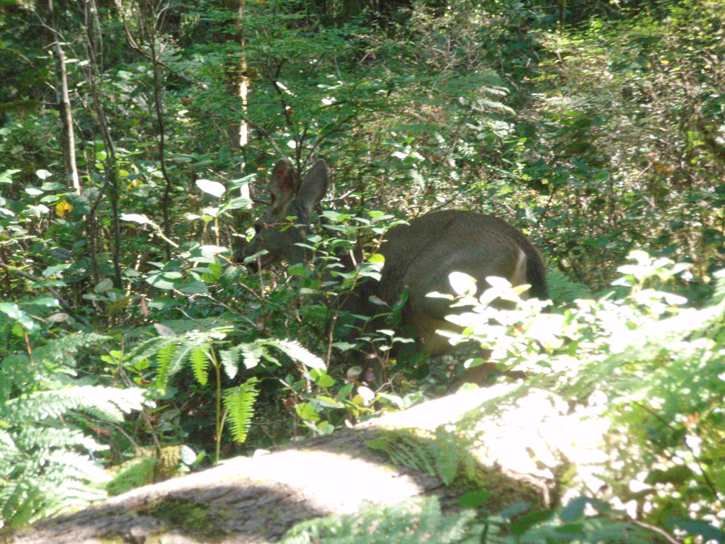 2007_09_25_oxbow 023