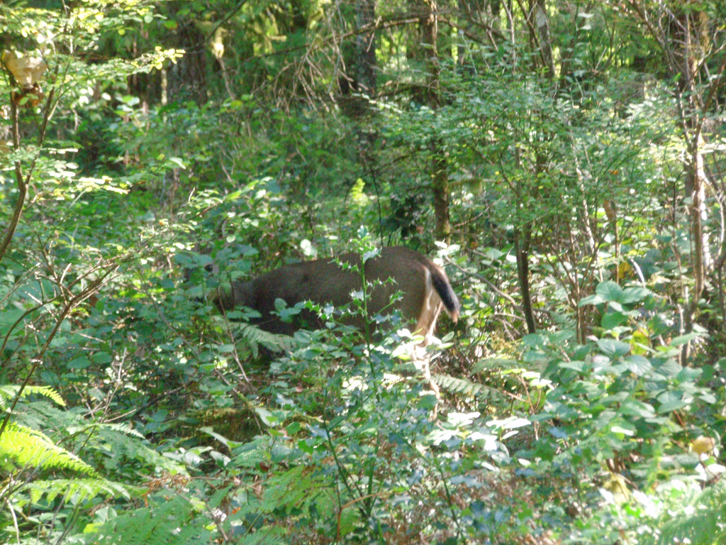 2007_09_25_oxbow 027