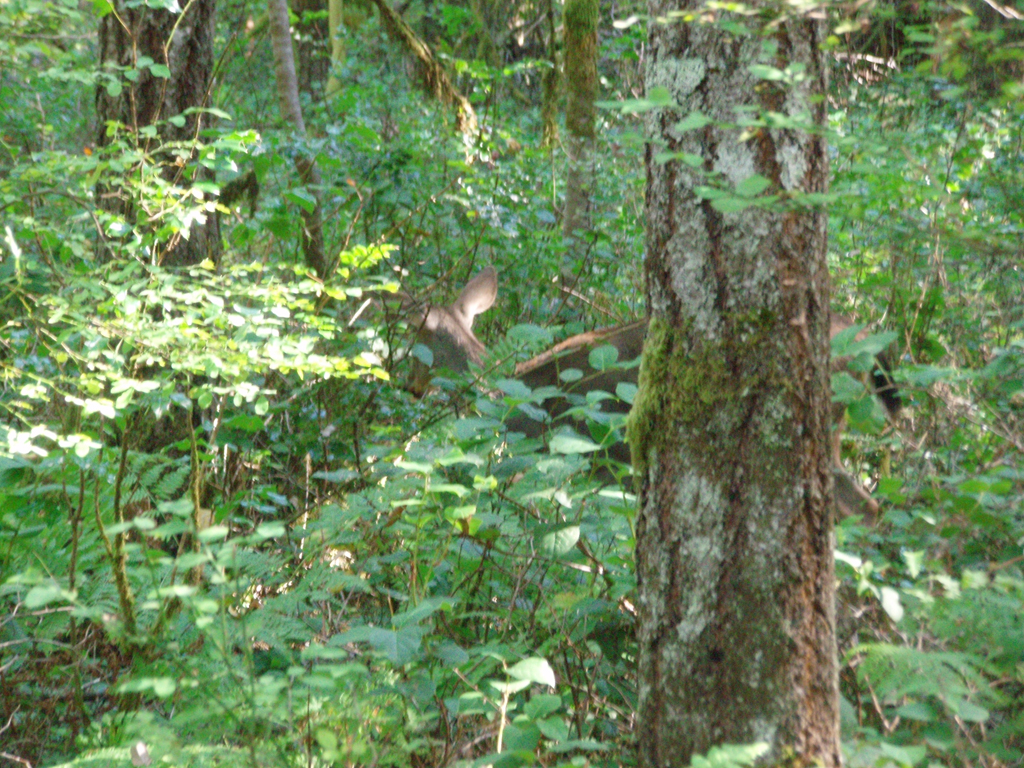 2007_09_25_oxbow 029