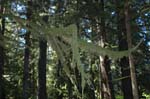 2007_0924_Oxbow 111