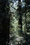2007_0924_Oxbow 112