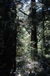 2007_0924_Oxbow 113