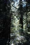 2007_0924_Oxbow 114