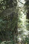 2007_0924_Oxbow 115