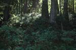 2007_0924_Oxbow 118