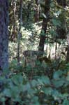 2007_0924_Oxbow 119