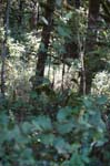 2007_0924_Oxbow 120