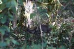 2007_0924_Oxbow 122