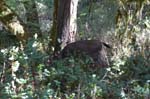 2007_0924_Oxbow 123