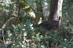 2007_0924_Oxbow 125