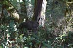 2007_0924_Oxbow 127