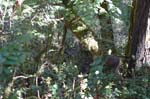 2007_0924_Oxbow 128
