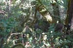 2007_0924_Oxbow 129