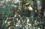 2007_0924_Oxbow 130