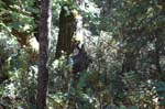2007_0924_Oxbow 132