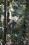 2007_0924_Oxbow 133