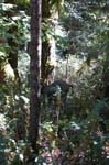 2007_0924_Oxbow 134