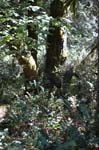 2007_0924_Oxbow 135