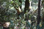 2007_0924_Oxbow 136